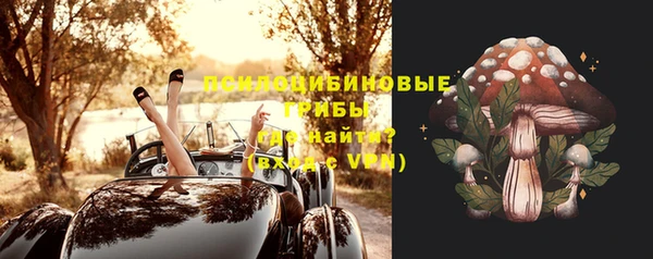 ПСИЛОЦИБИНОВЫЕ ГРИБЫ Абдулино