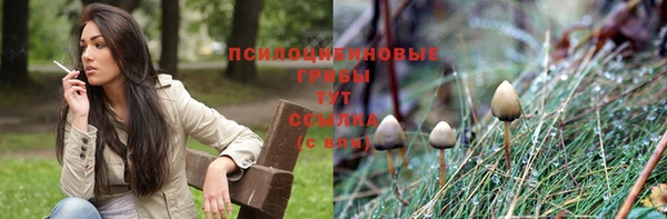 герыч Алексин