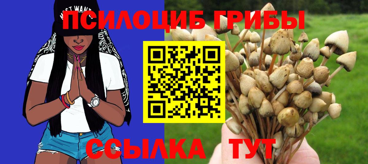 Галлюциногенные грибы Psilocybe Тюмень