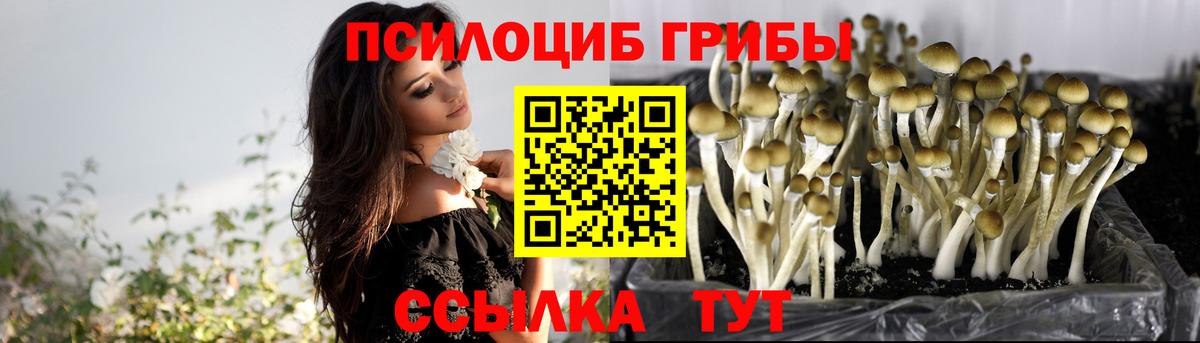 Псилоцибиновые грибы Psilocybine cubensis  Вход с VPN  Тюмень 